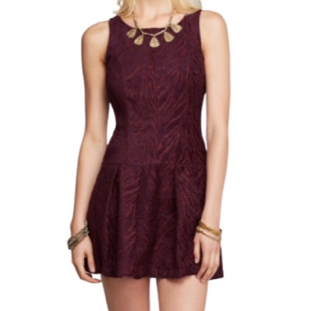FREE PEOPLE Wild Zebra Dress Fit & Flare Pockets EUC